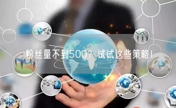 粉丝量不到500?试试这些策略!