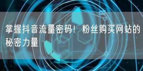 掌握抖音流量密码！粉丝购买网站的秘密力量