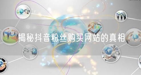 揭秘抖音粉丝购买网站的真相