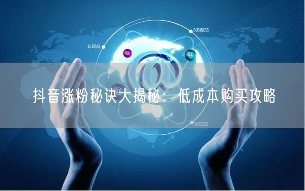 抖音涨粉秘诀大揭秘：低成本购买攻略
