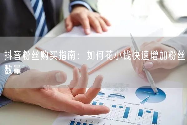 抖音粉丝购买指南：如何花小钱快速增加粉丝数量