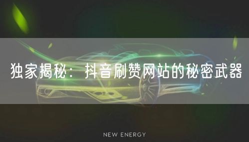 独家揭秘：抖音刷赞网站的秘密武器