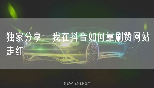 独家分享：我在抖音如何靠刷赞网站走红