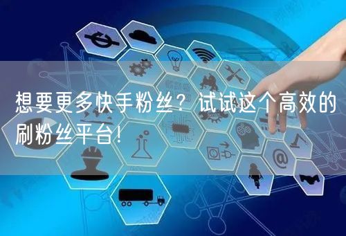 想要更多快手粉丝?试试这个高效的刷粉丝平台!