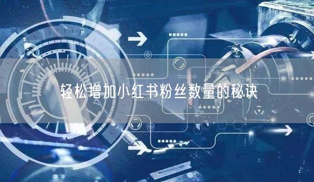 轻松增加小红书粉丝数量的秘诀