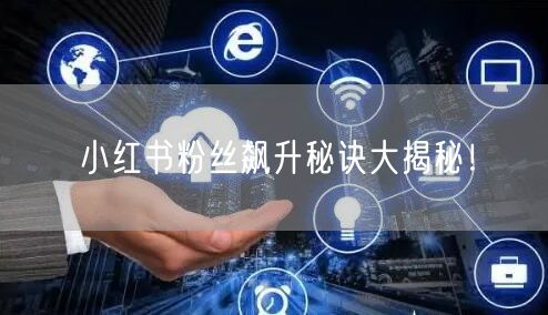 小红书粉丝飙升秘诀大揭秘！