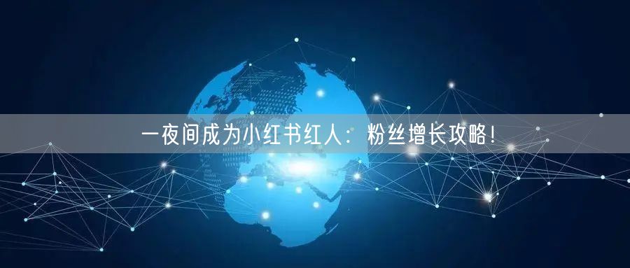 一夜间成为小红书红人：粉丝增长攻略！