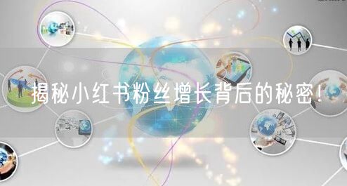 揭秘小红书粉丝增长背后的秘密！
