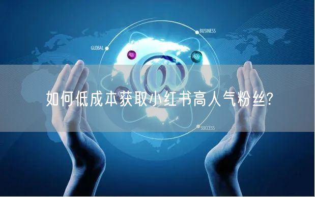 如何低成本获取小红书高人气粉丝?
