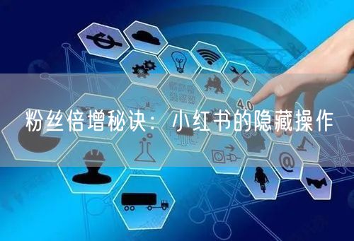 粉丝倍增秘诀：小红书的隐藏操作