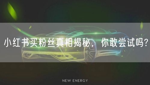 小红书买粉丝真相揭秘，你敢尝试吗?