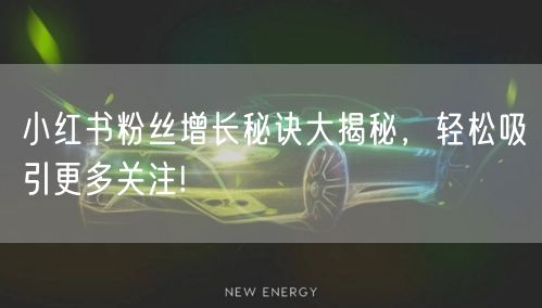 小红书粉丝增长秘诀大揭秘，轻松吸引更多关注!