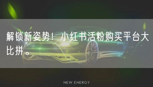 解锁新姿势！小红书活粉购买平台大比拼。