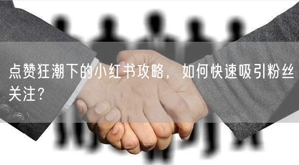点赞狂潮下的小红书攻略，如何快速吸引粉丝关注？