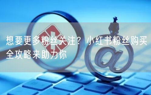 想要更多粉丝关注？小红书粉丝购买全攻略来助力你