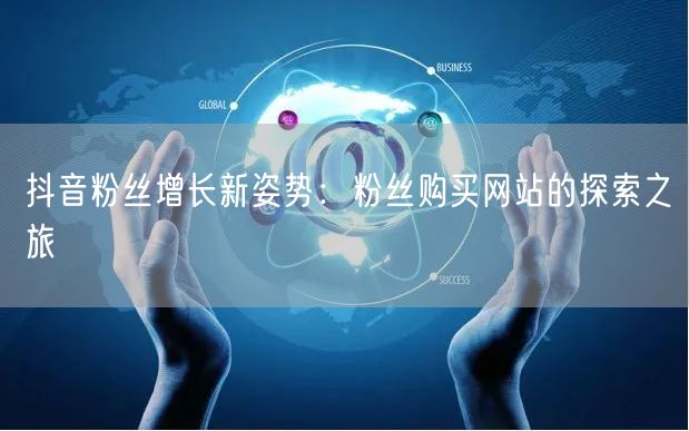 抖音粉丝增长新姿势：粉丝购买网站的探索之旅