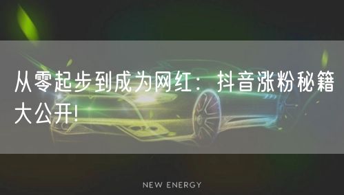 从零起步到成为网红：抖音涨粉秘籍大公开!