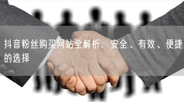 抖音粉丝购买网站全解析：安全、有效、便捷的选择