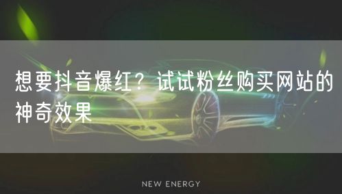 想要抖音爆红？试试粉丝购买网站的神奇效果