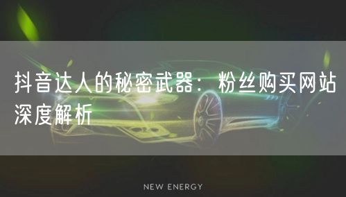 抖音达人的秘密武器：粉丝购买网站深度解析