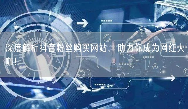 深度解析抖音粉丝购买网站，助力你成为网红大咖！