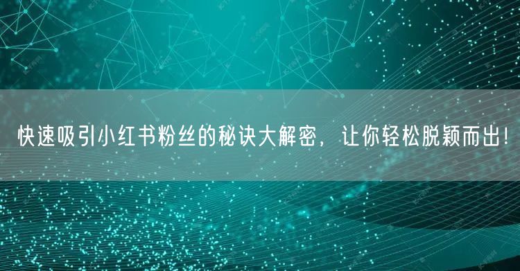 快速吸引小红书粉丝的秘诀大解密，让你轻松脱颖而出！