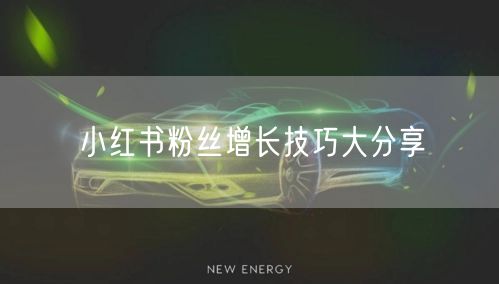 小红书粉丝增长技巧大分享