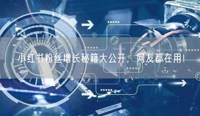 小红书粉丝增长秘籍大公开，网友都在用！