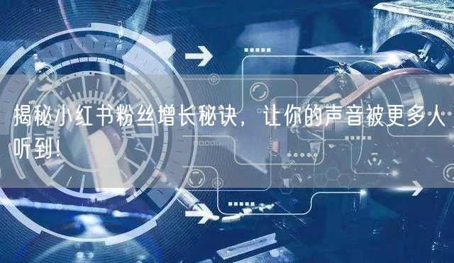 揭秘小红书粉丝增长秘诀，让你的声音被更多人听到！