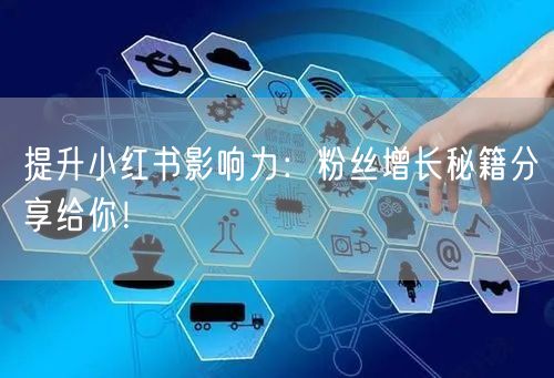 提升小红书影响力：粉丝增长秘籍分享给你！