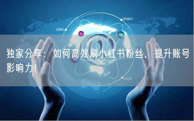 独家分享：如何高效刷小红书粉丝，提升账号影响力！