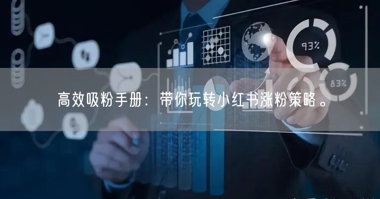 高效吸粉手册：带你玩转小红书涨粉策略。