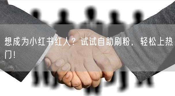 想成为小红书红人？试试自助刷粉，轻松上热门！