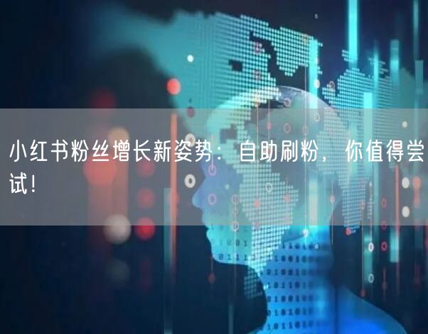 小红书粉丝增长新姿势：自助刷粉，你值得尝试！