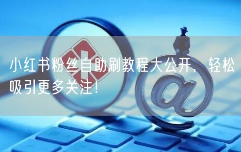 小红书粉丝自助刷教程大公开，轻松吸引更多关注！