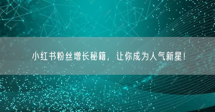小红书粉丝增长秘籍，让你成为人气新星！