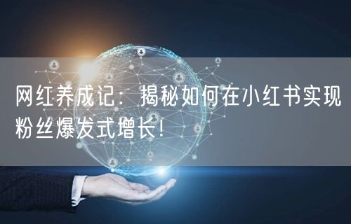 网红养成记：揭秘如何在小红书实现粉丝爆发式增长！