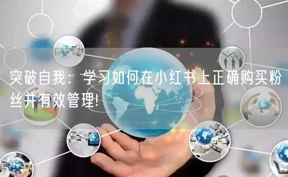 突破自我：学习如何在小红书上正确购买粉丝并有效管理!