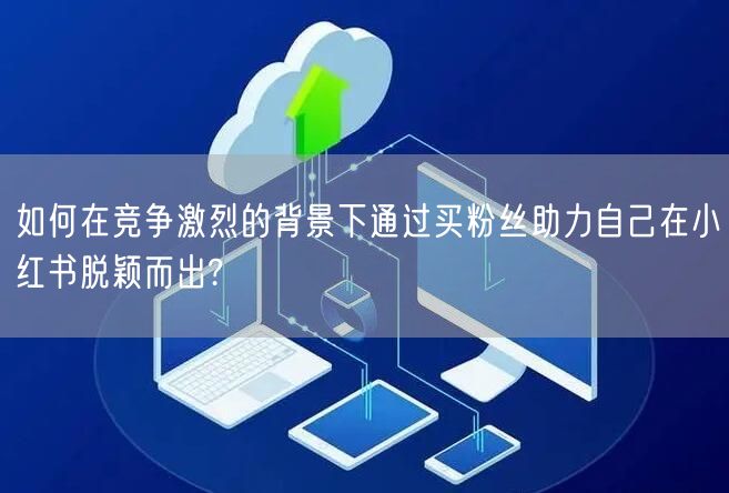 如何在竞争激烈的背景下通过买粉丝助力自己在小红书脱颖而出?