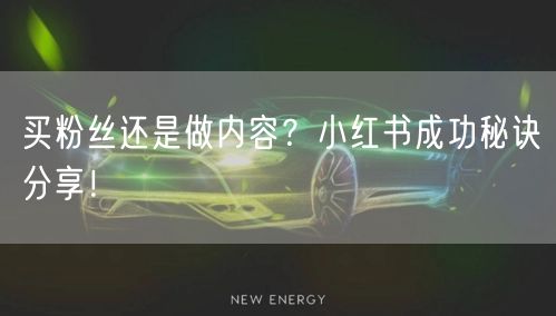 买粉丝还是做内容？小红书成功秘诀分享！