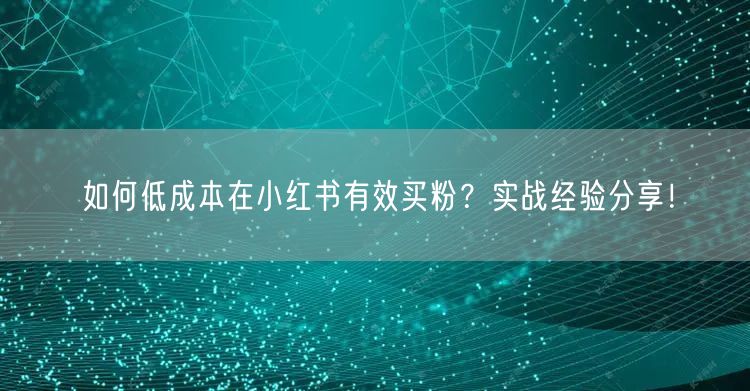 如何低成本在小红书有效买粉？实战经验分享！