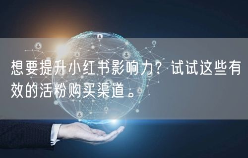 想要提升小红书影响力？试试这些有效的活粉购买渠道。