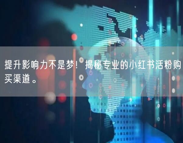 提升影响力不是梦！揭秘专业的小红书活粉购买渠道。