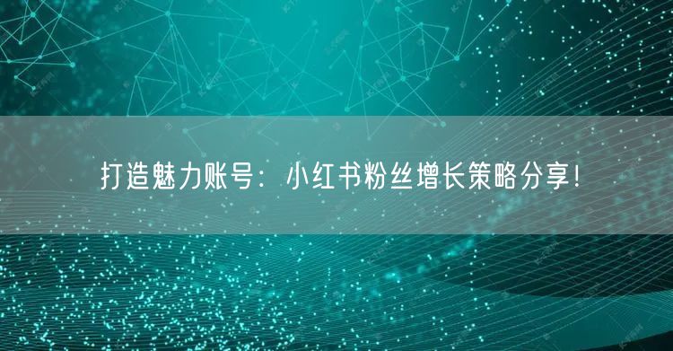 打造魅力账号：小红书粉丝增长策略分享！