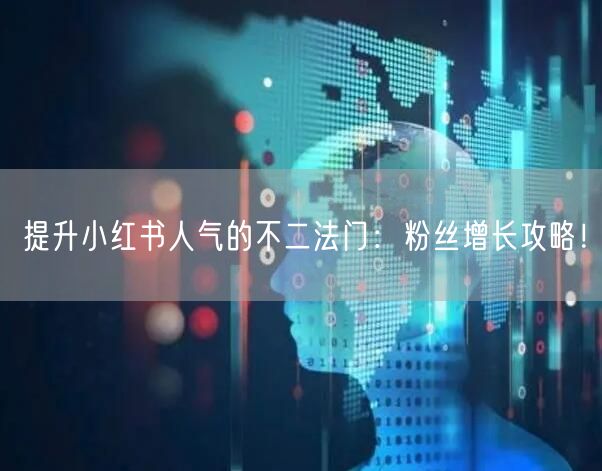 提升小红书人气的不二法门：粉丝增长攻略！