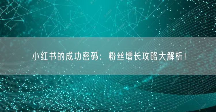 小红书的成功密码：粉丝增长攻略大解析！