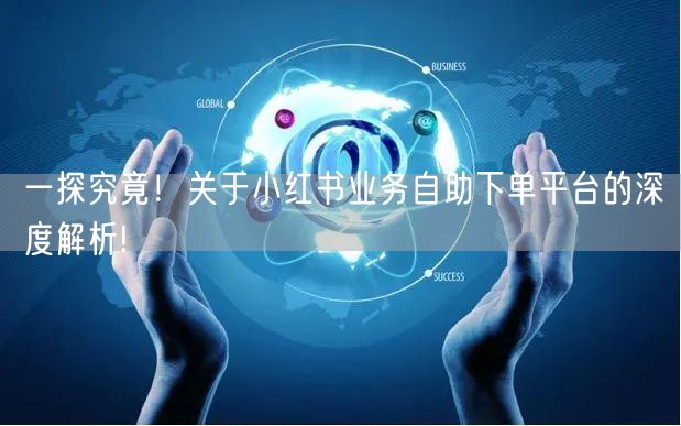 一探究竟！关于小红书业务自助下单平台的深度解析!