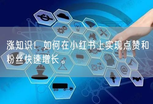 涨知识！如何在小红书上实现点赞和粉丝快速增长。