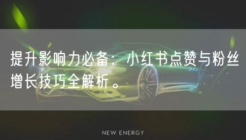 提升影响力必备：小红书点赞与粉丝增长技巧全解析。