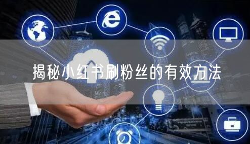 揭秘小红书刷粉丝的有效方法